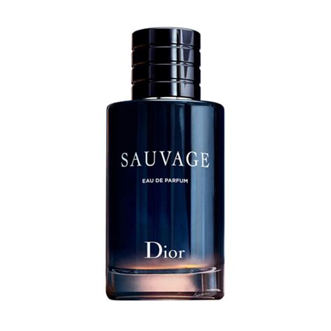 sauvage dior pakistan|sauvage dior price in pakistan.